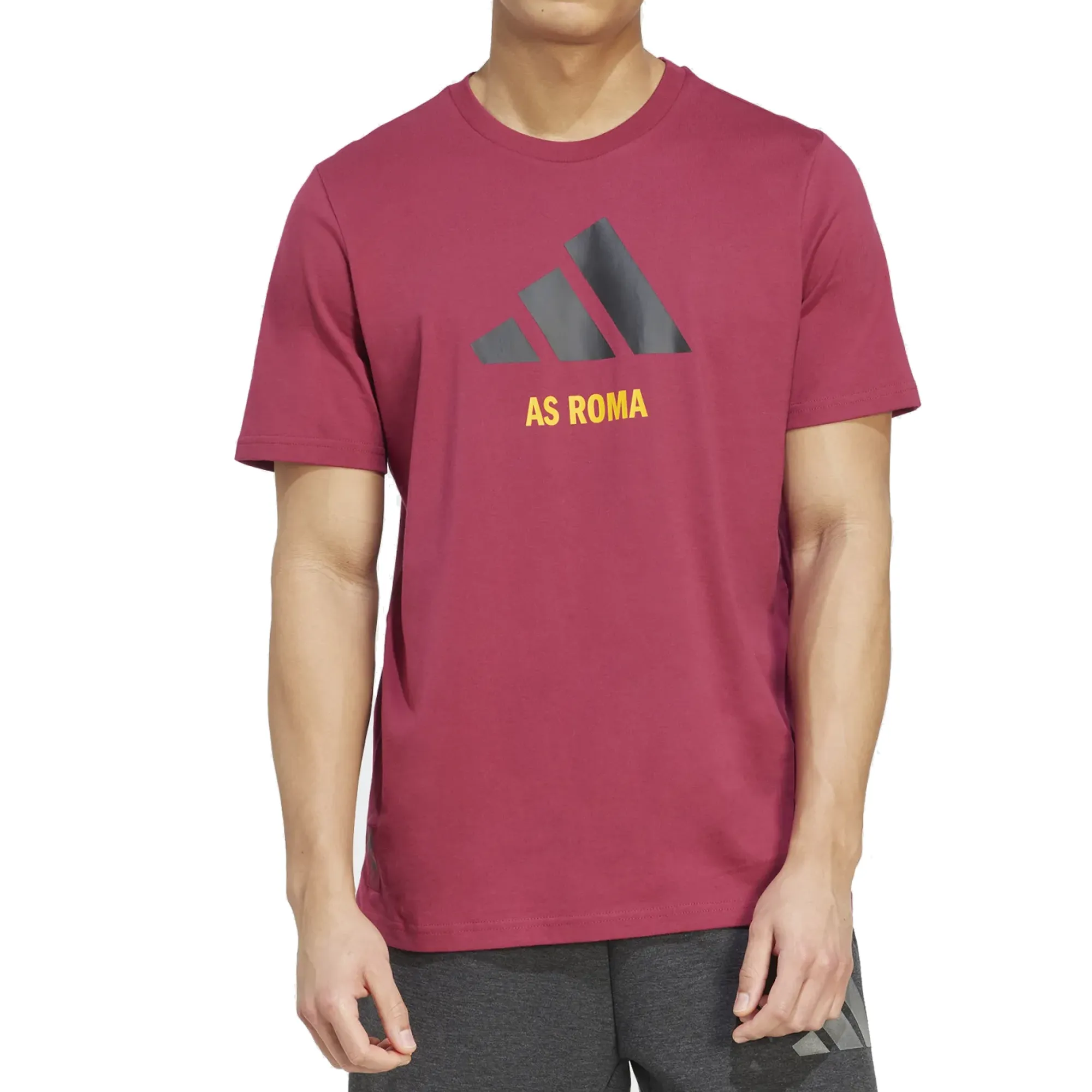 adidas Mens Roma Season Graphic T-Shirt (Legend Burgundy/Black) ColorfastFabricTech Fresh and Cool