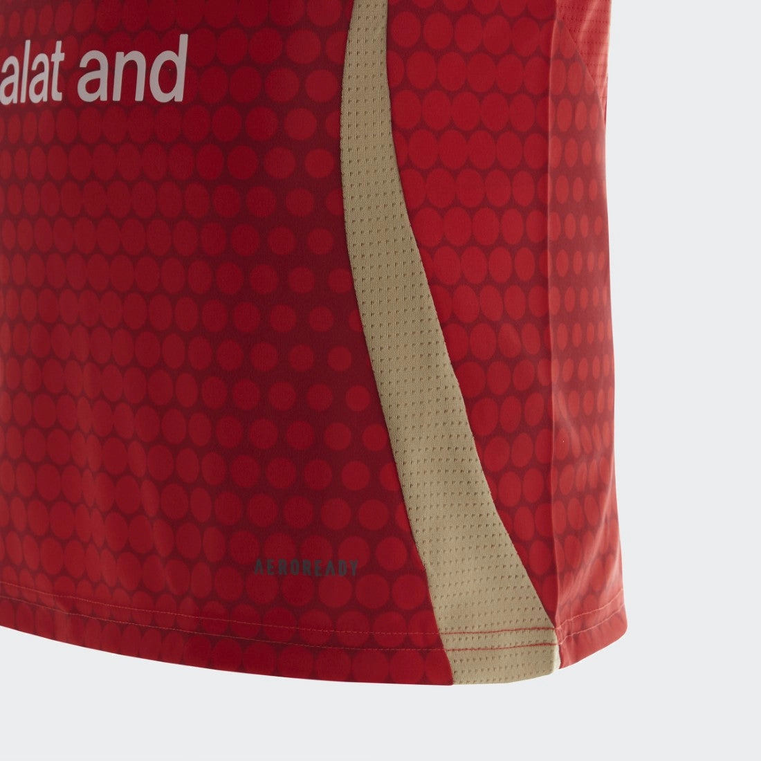 Al Ahly Home Jersey Stylish and Cozy Minimalist Look