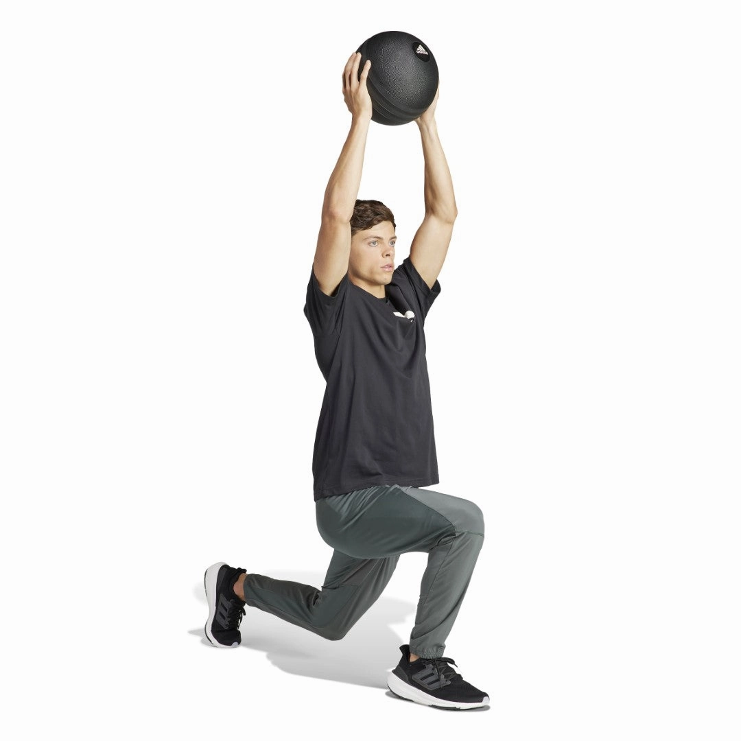 Chilly Comfort Wear All-Gym Category Graphic T-Shirt