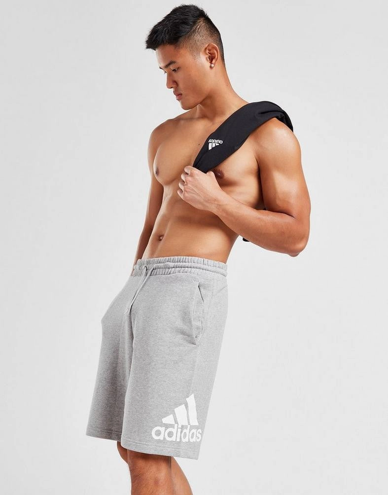 Tear Resistant Panels Essentials Big Logo French Terry Shorts