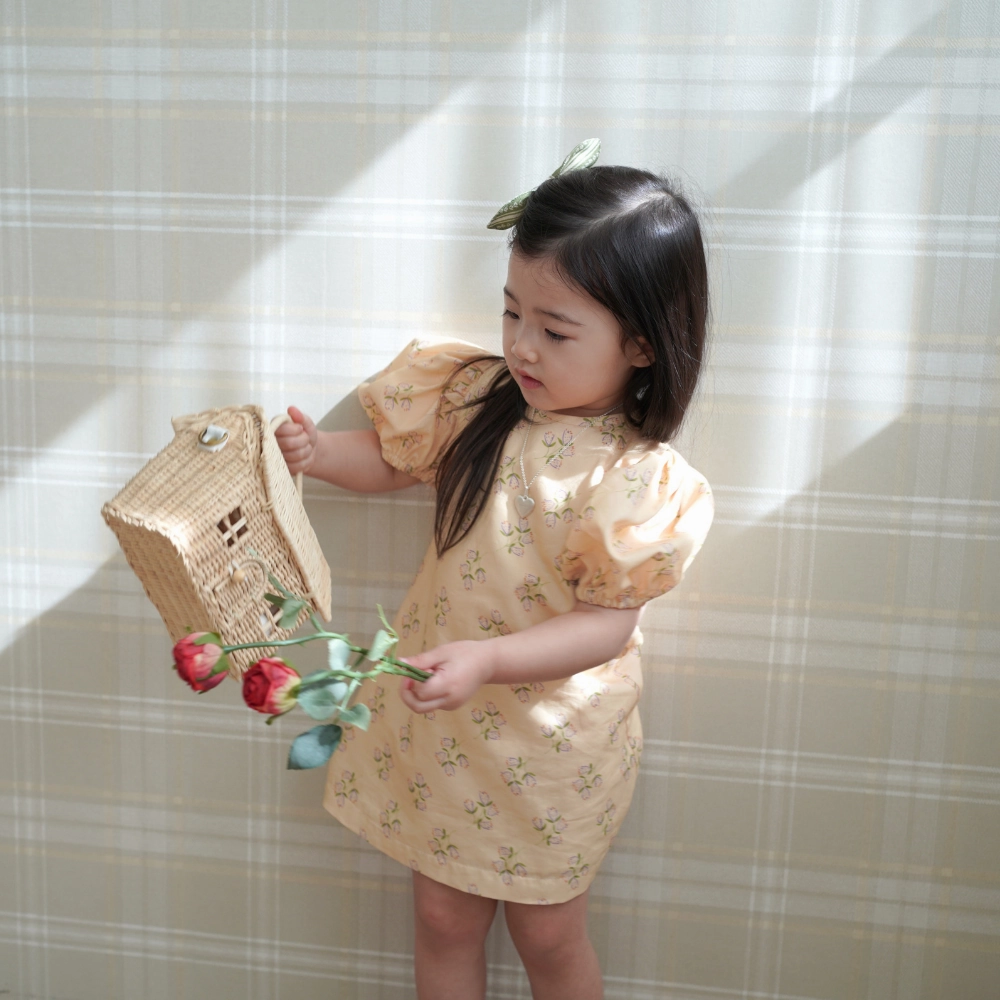 Crystal-Detail Pleated-Skirt Birinit Petit x Tinyapple  Caoli?n exclusive dress