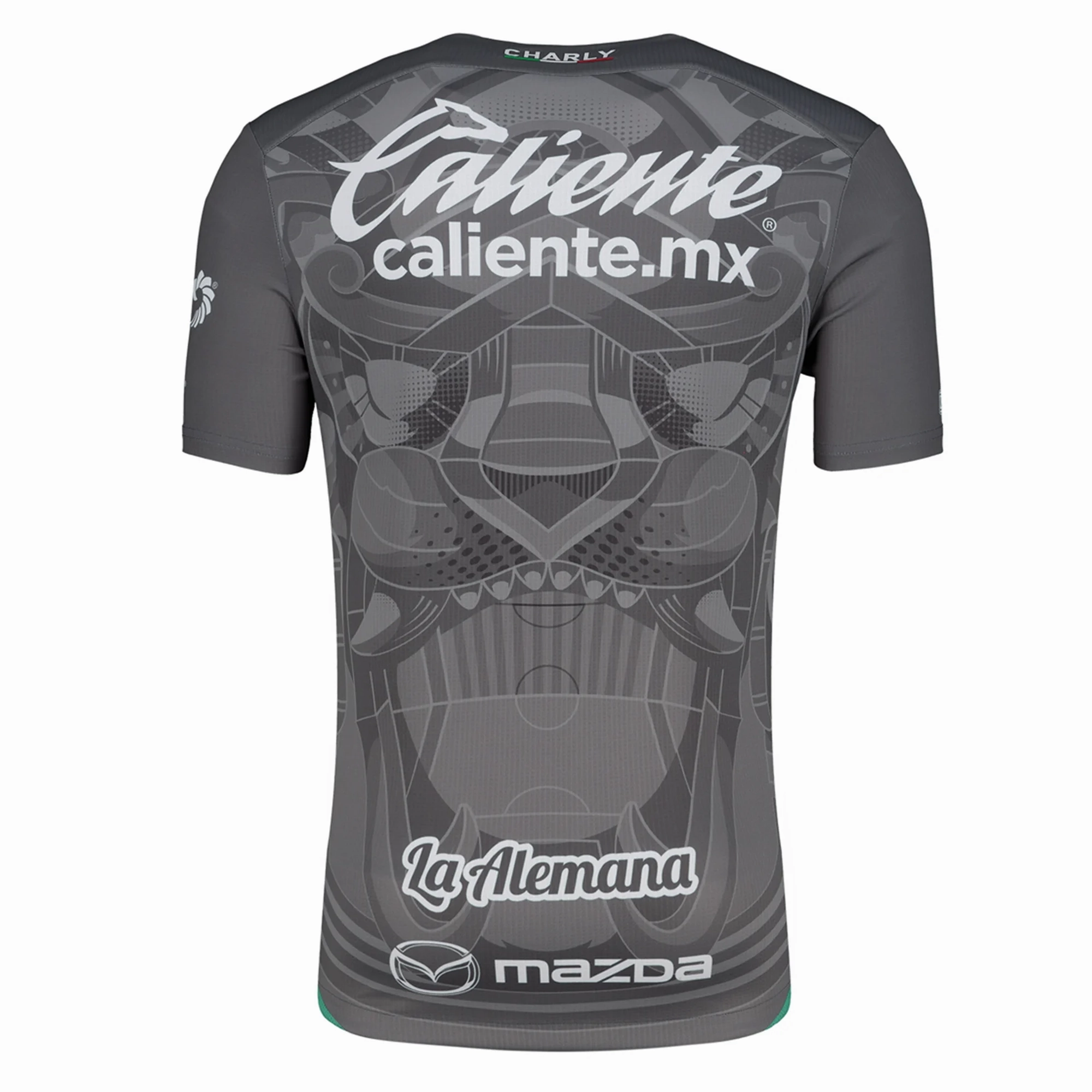 Quick Adapt Fibers Charly Leon Third Jersey 24/25 (Grey/Green)