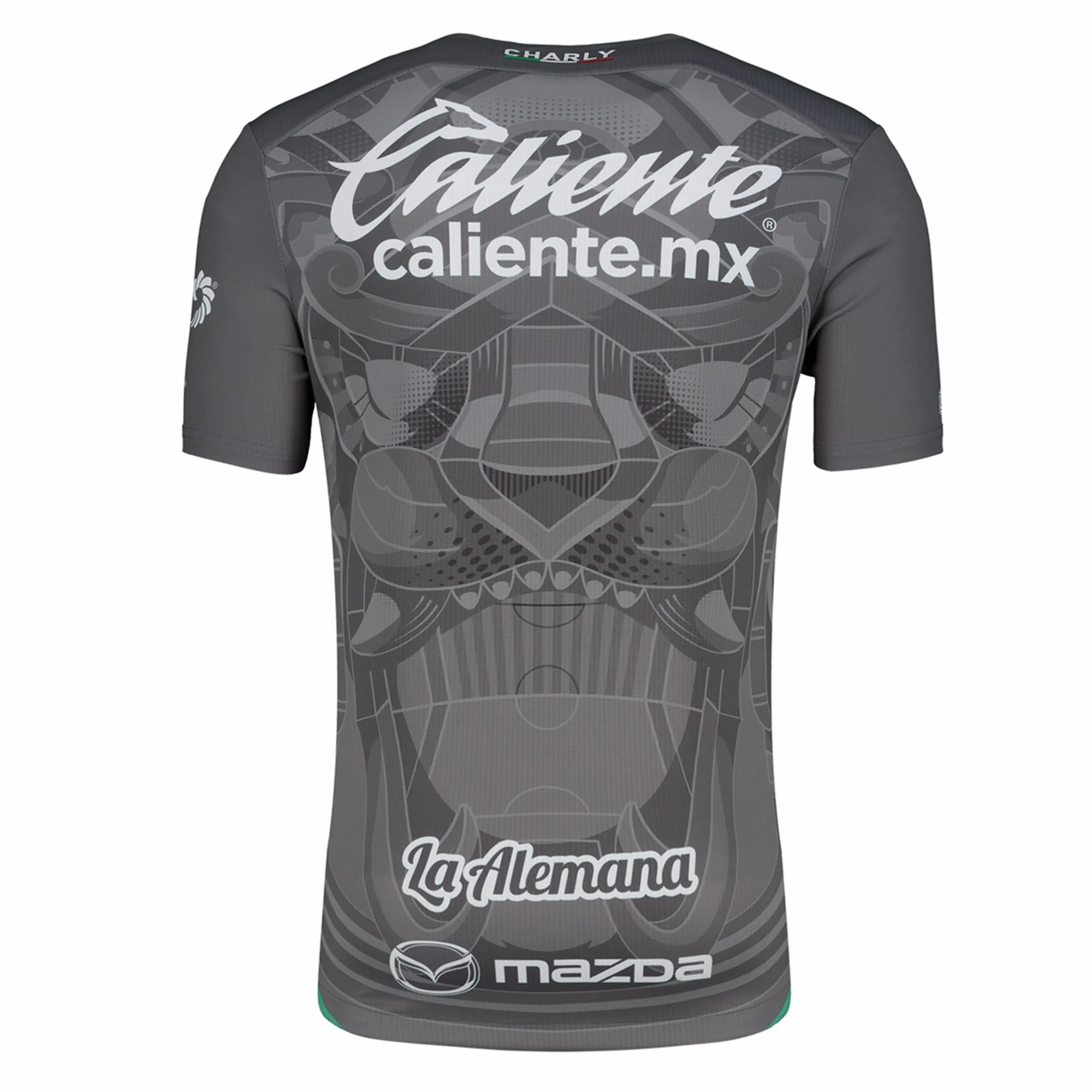 High Stretch Recovery Charly Leon Third Jersey 24/25 (Grey/Green)
