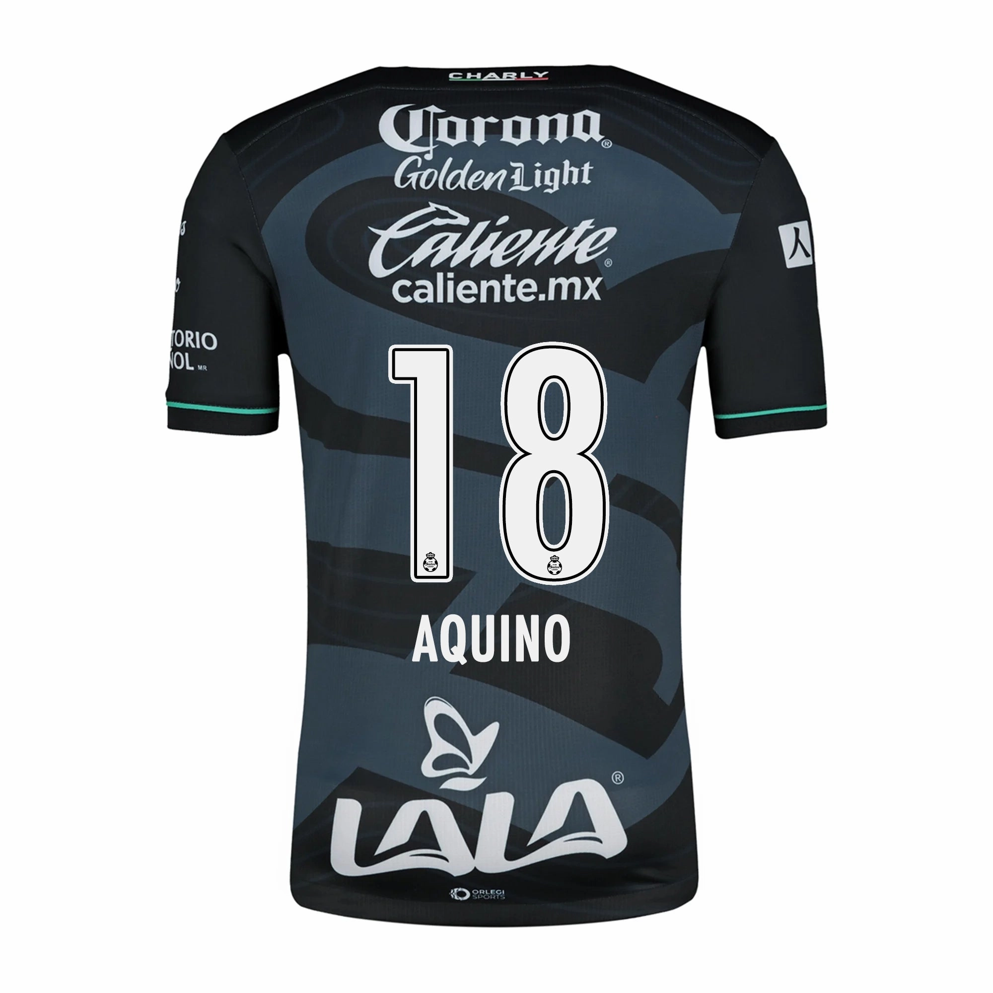 Charly Pedro Aquino Santos Third Jersey 24/25 (Black/Grey) Recycled Polyester Blend