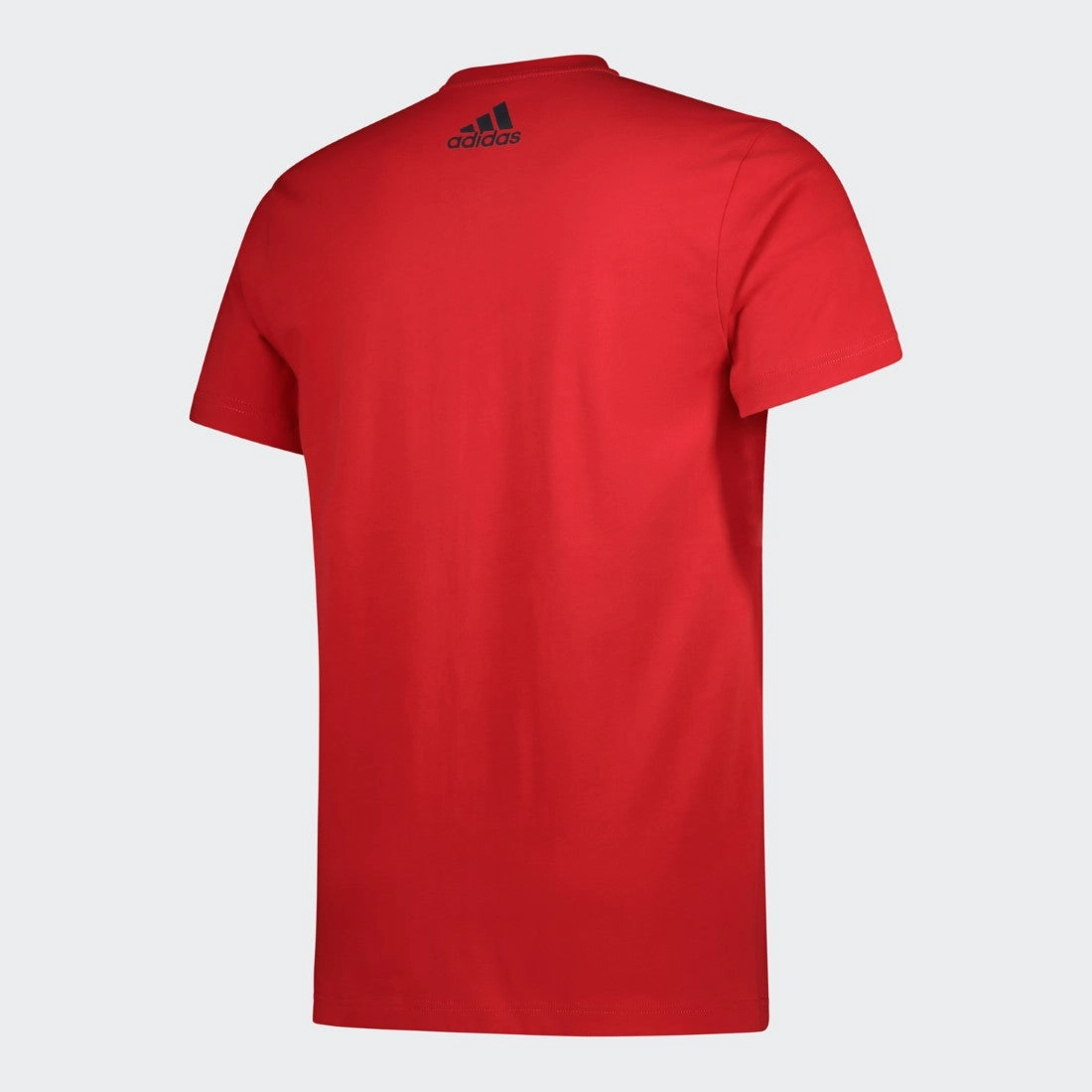 Fuzz Free Surface Basics Emblem Graphic T-Shirt