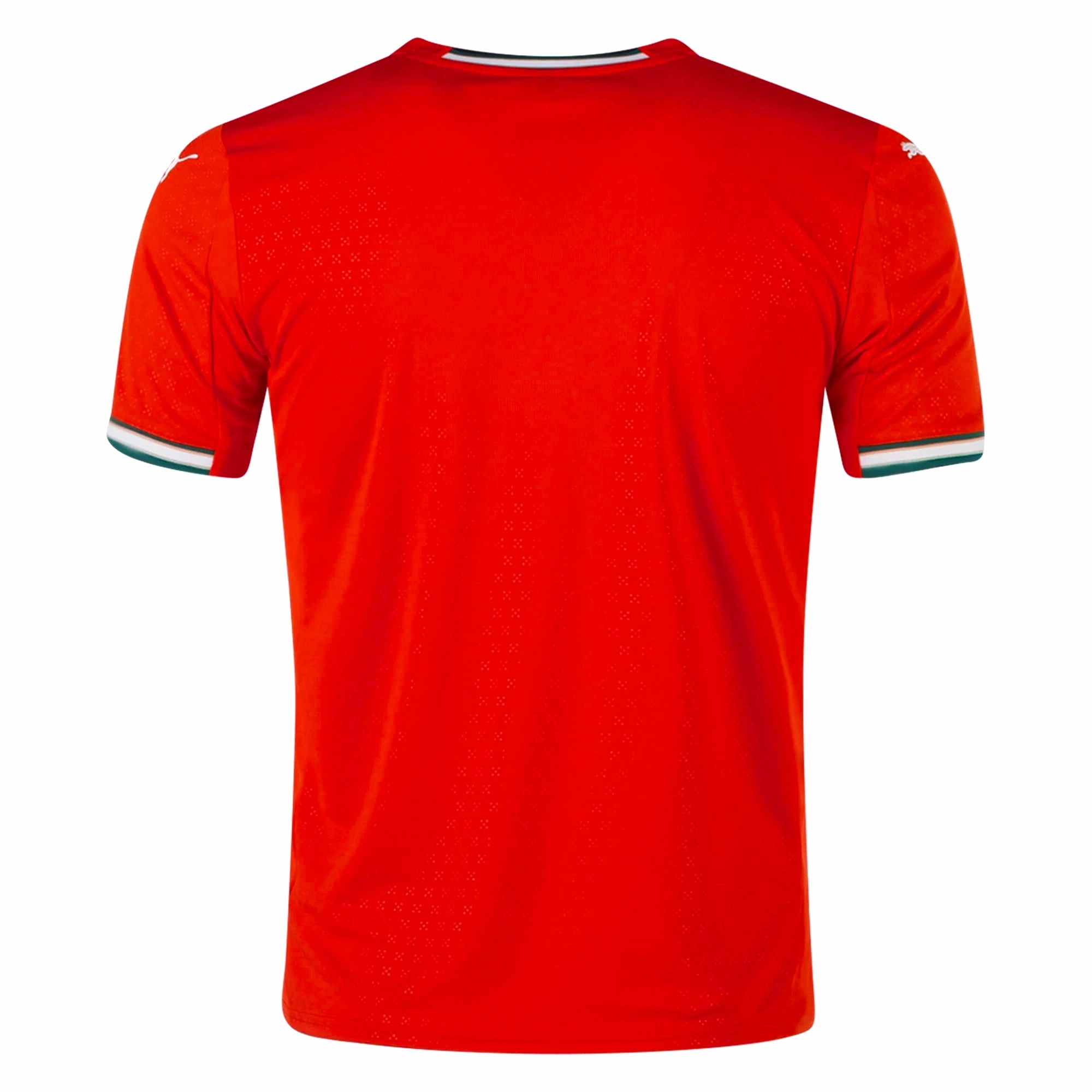 Flatlock stitching Puma Portugal Authentic Home Jersey 25/26 (Sport Red/Sugared Almond)