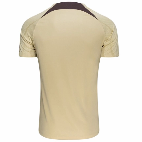 Nike Tottenham Third Strike Training Top Jersey 23/24 (Team Gold/Ironstone) Perfect Motion