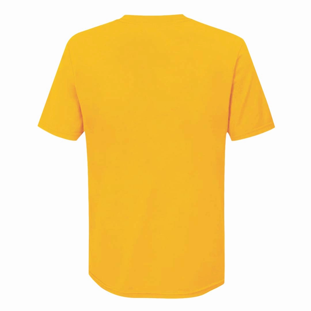 Low Profile Stitching Boost Fit NBA - Men's Toronto Raptors Mesh T-Shirt (NAXA09NMSC3A1PB 71GLD)