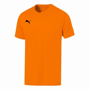 Puma - Men's Liga Core Jersey (703509 08) Dry Layer Move Enhanced