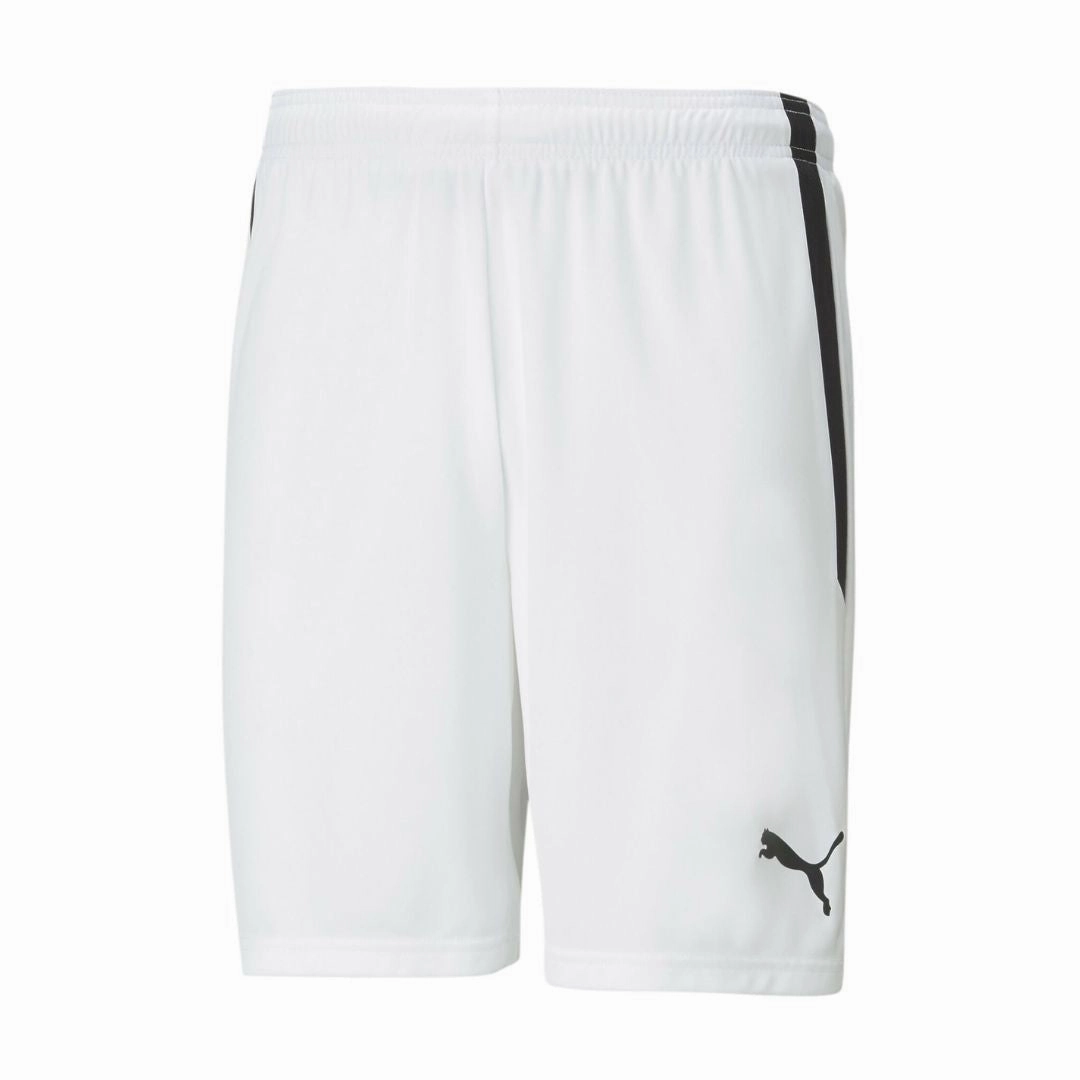 embroidery work Team Liga Shorts