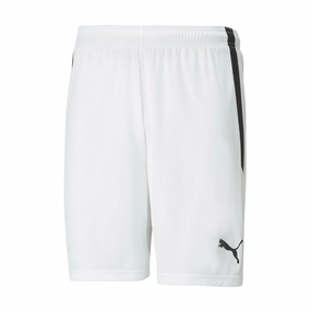 embroidery work Team Liga Shorts