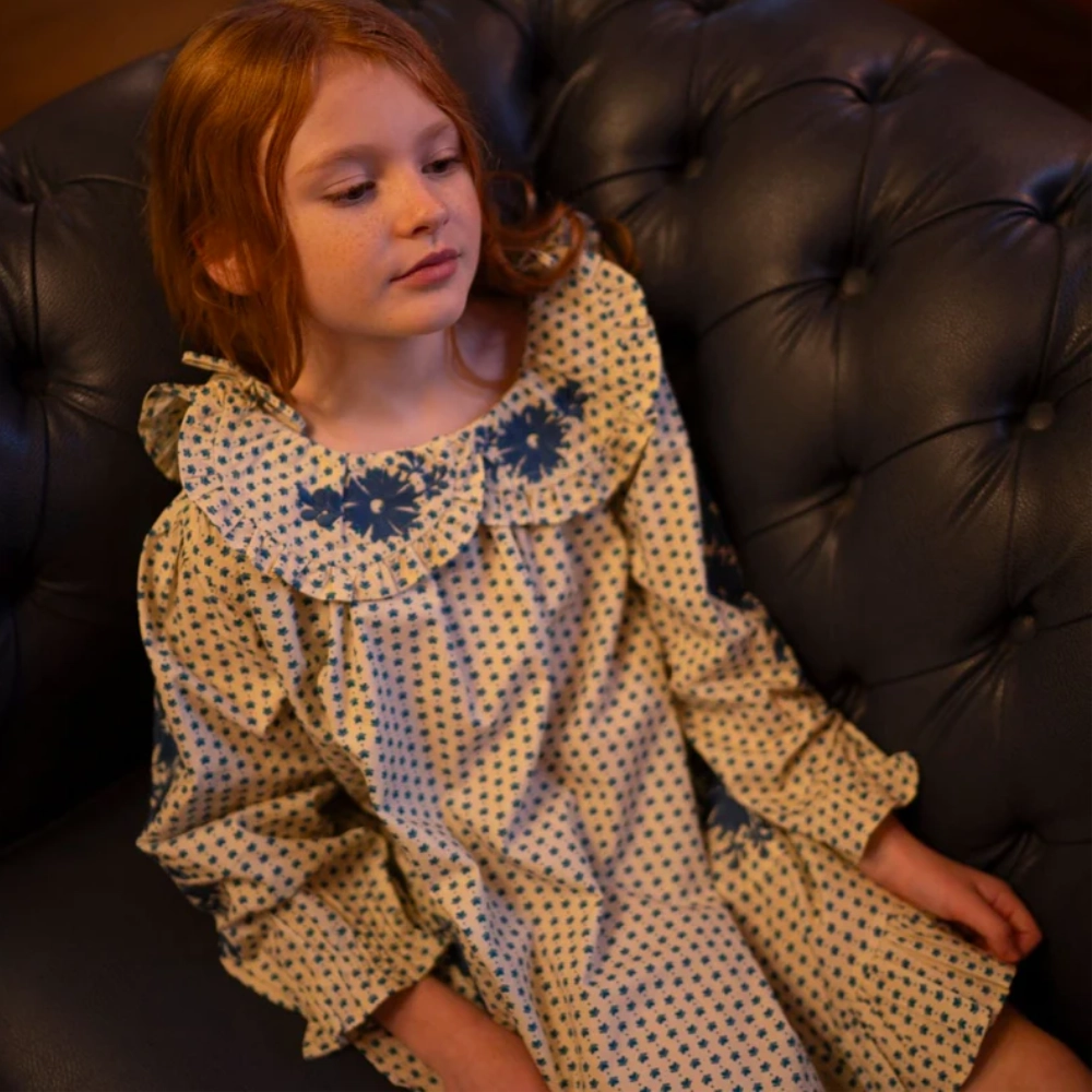 Celebration Wear Lali Belle Dress, Hearts with Embroidery