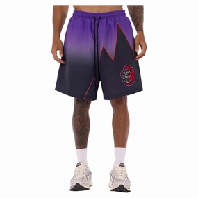 Men's NBA Toronto Raptors Polyester Shorts Fluid Fabric
