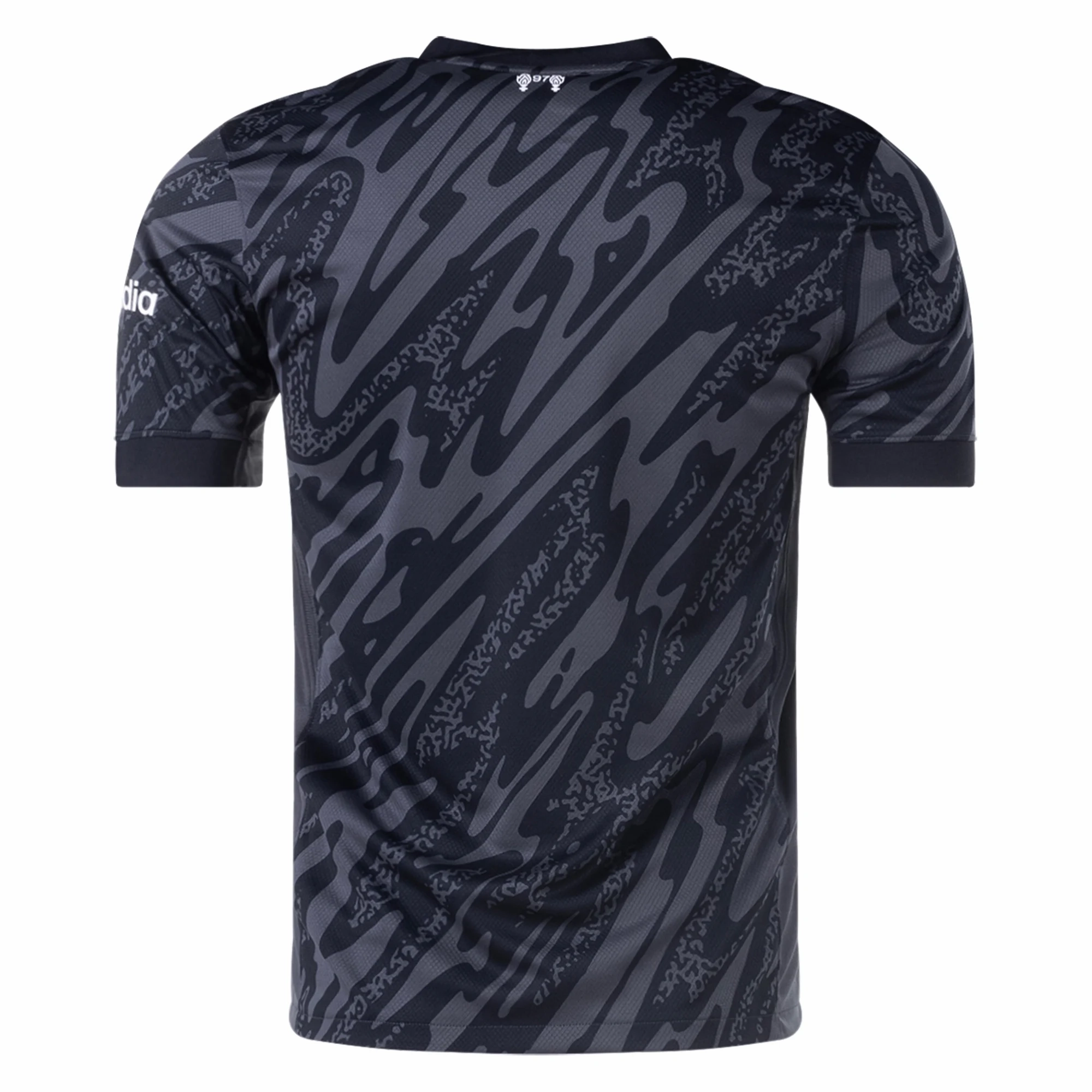Nike Liverpool Goalkeeper Jersey 24/25 (Anthracite/Black) Street Style