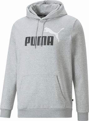 Breathable fabric tech Hidden Ventilation Men's Essentials  2 Coloured Big Logo Fleece Hoodie