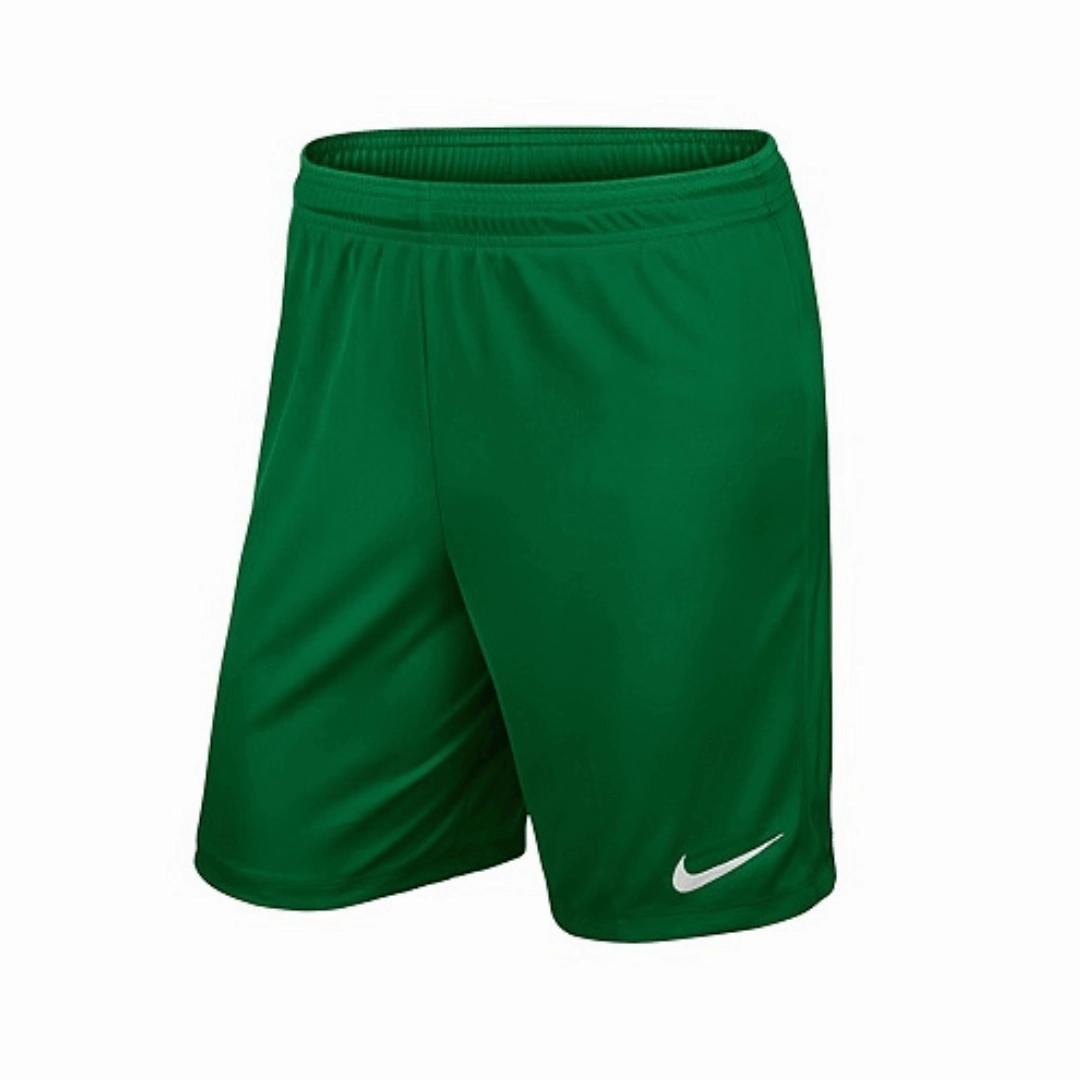 cycling outfit present for her Park II Shorts