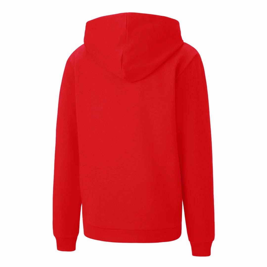 Fade Resistant Dyeing Hydrophobic Finish Puma - Kids' (Junior) Teamgoal 23 Casuals Hoodie (656711 01)