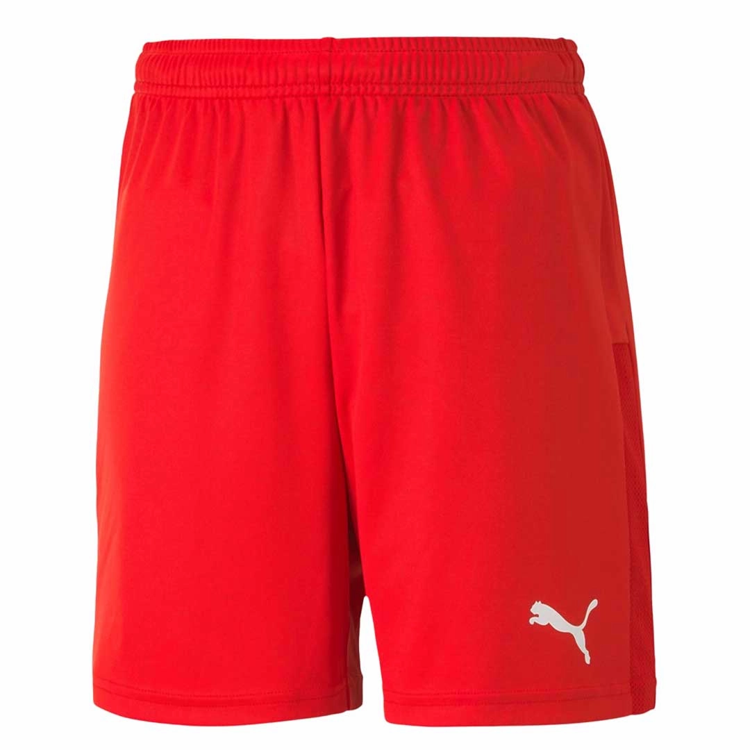 Puma - Kids?? (Junior) TeamGoal 23 Knit Shorts (704263 01) Muscle Motion