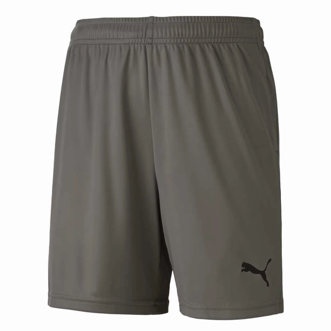 Puma - Kids?? (Junior) TeamGoal 23 Knit Shorts (704263 13) Seamless Wear