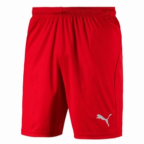 Puma - Men's Liga Core Shorts (703436 01) Bold Colorway Smooth Silicone Gripper