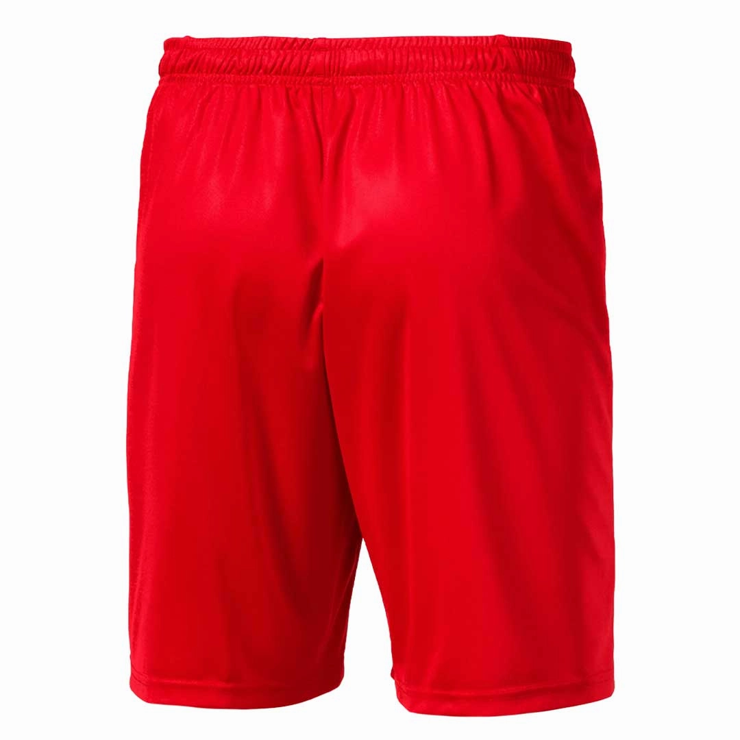 Ventilated Back Panels Puma - Men's Liga Core Shorts (703436 01)