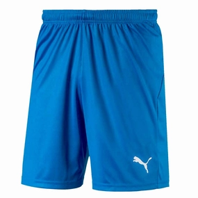 Puma - Men's Liga Core Shorts (703436 02) Cool Texture