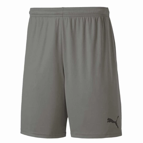 Puma - Men's Teamgoal 23 Knit Shorts (704262 13) Odor Control Treatment