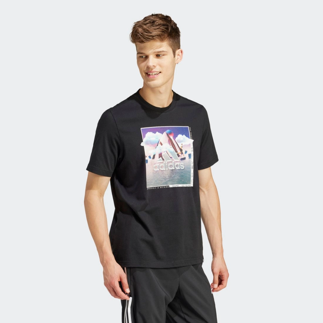 Smooth Finish Landscape Badge Graphic T-Shirt