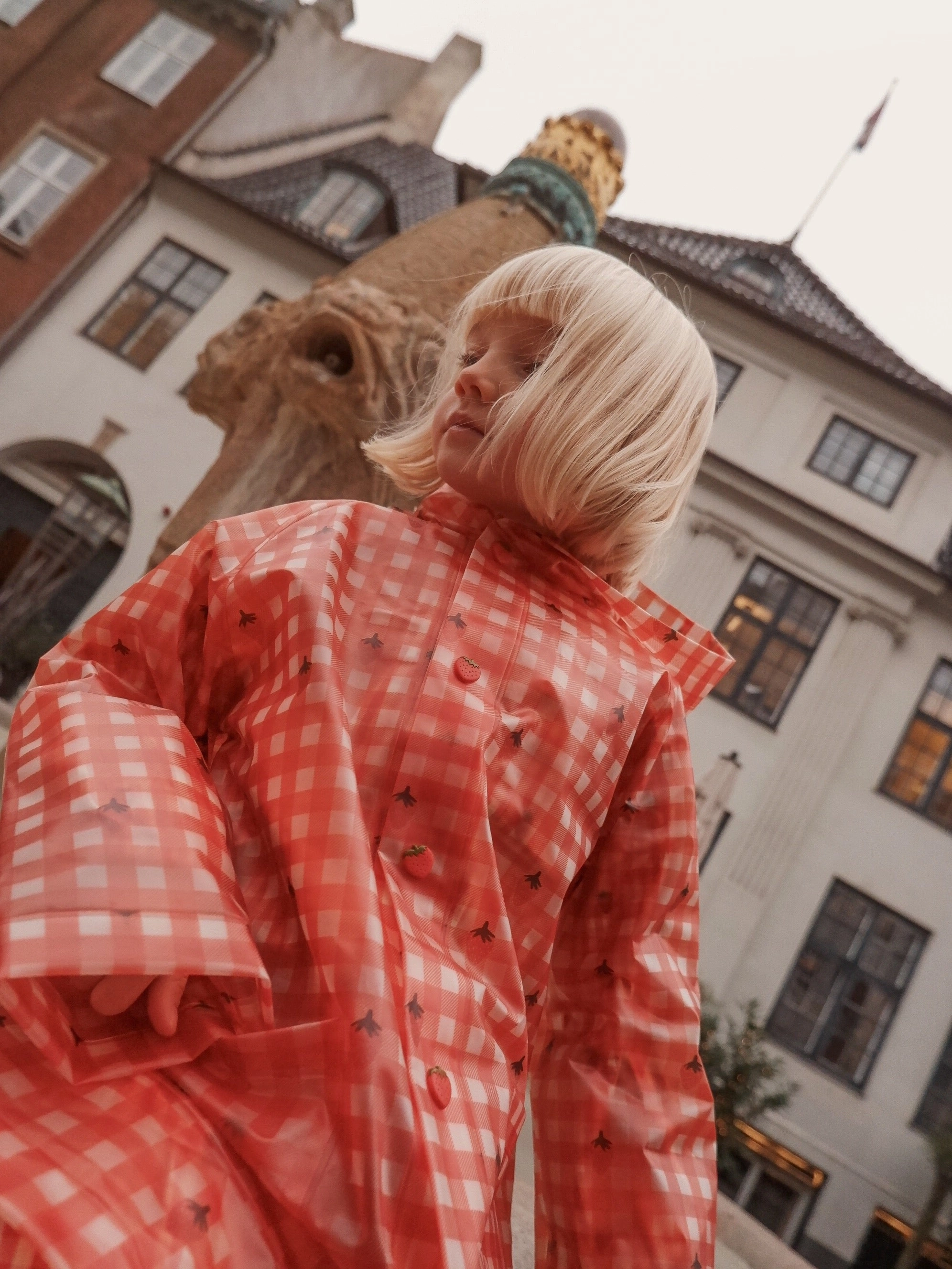 Floess Caila Raincoat, Berry Gingham Mold resistant TearResistant Reinforcements