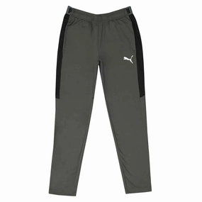 Heat Transfer Graphics Puma - Men's Speed Pant 2.0 (657724 10)