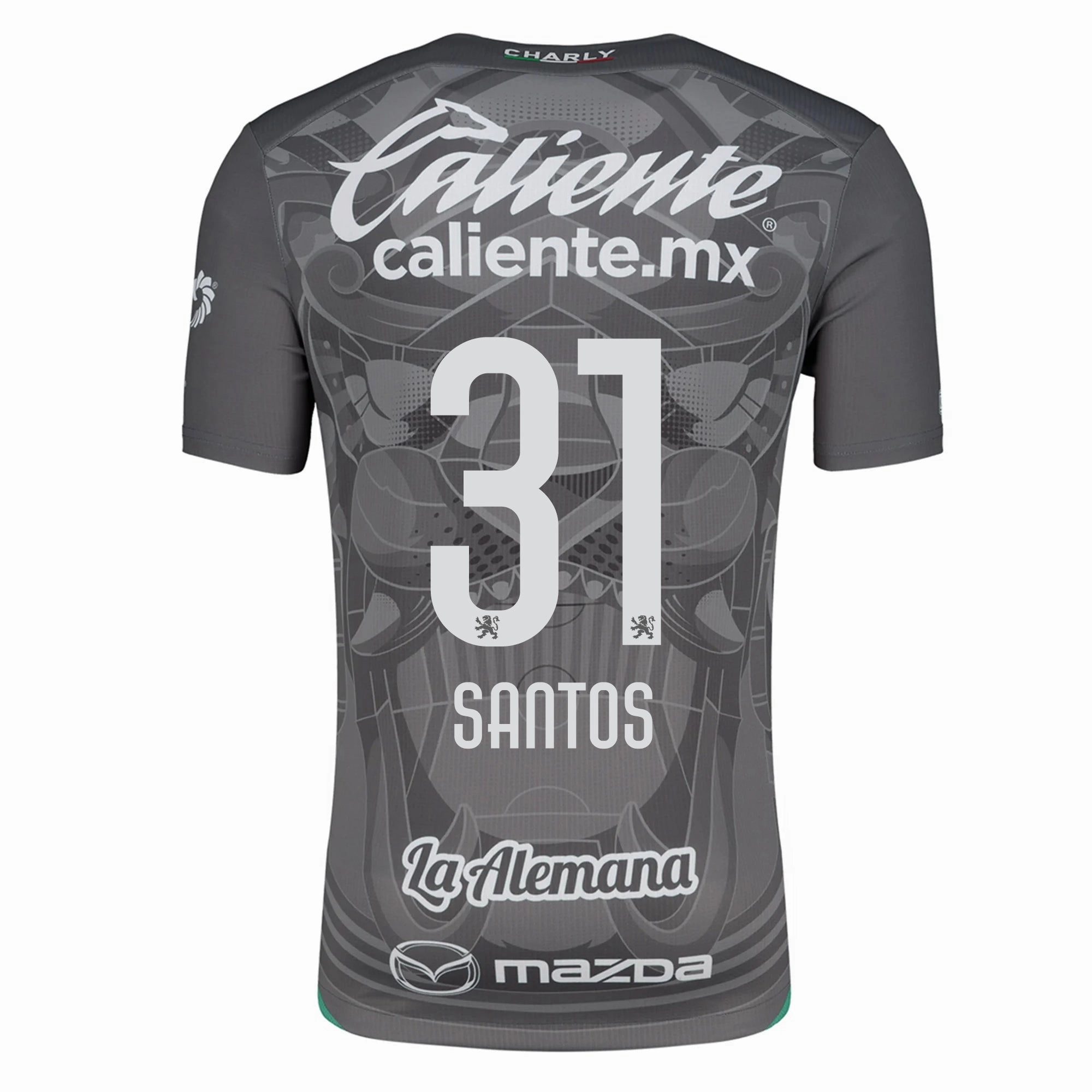 Charly Sebastian Santos Leon Third Jersey 24/25 (Grey/Green) Thermoregulating Fabric