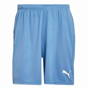Puma - Men's Liga Core Shorts (703436 18) Air Mesh Energy Comfort