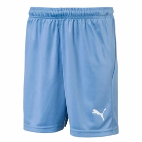 Training Flex Puma - Kids?? (Junior) Liga Core Shorts (703437 18)