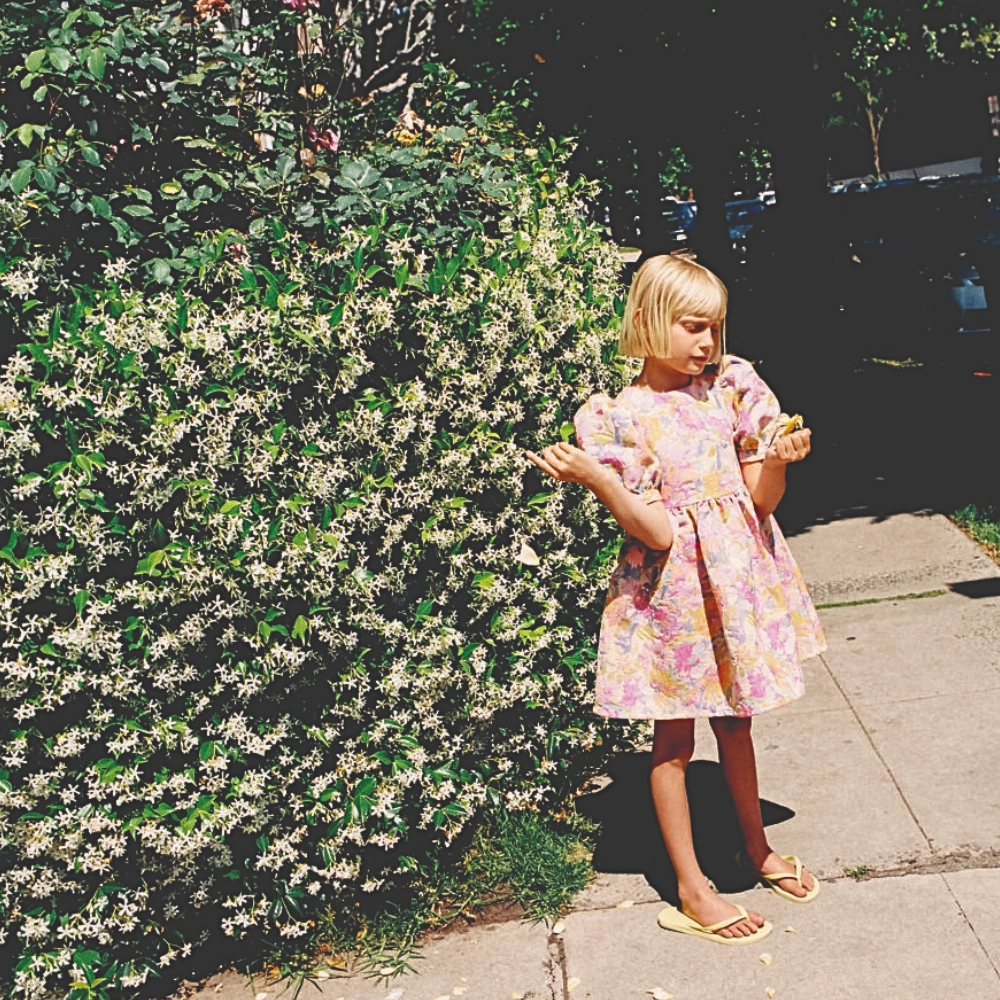 The New Society Monterey Dress, Monterey Jaquard Sheer Overlay