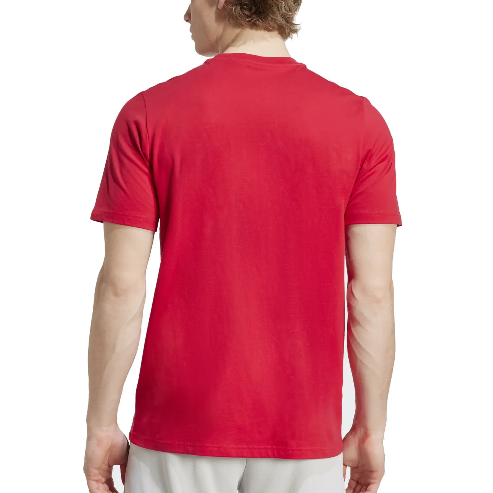 adidas Ajax Amsterdam Season Graphic T-Shirt (Red/White) Stylish and Relaxed