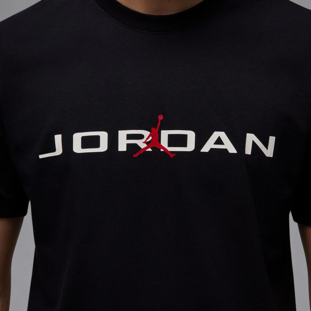 Preppy MoistureWicking Technology Jordan Air T-Shirt