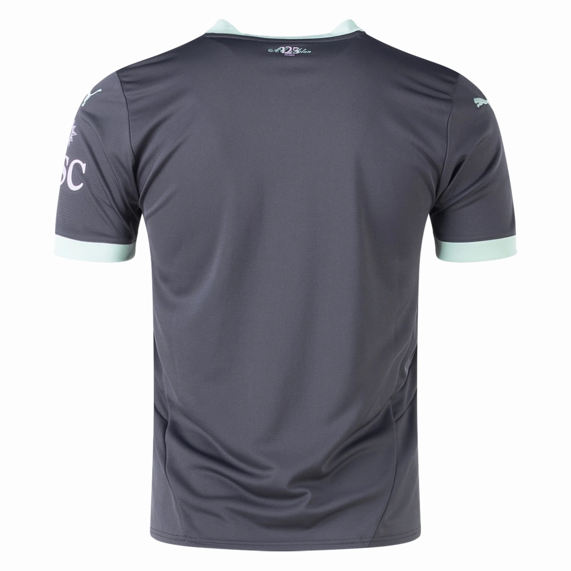 Fade Resistant Dyeing Colorfast Dye Process Puma AC Milan Third Jersey 24/25 (Shadow Gray/Fresh Mint)