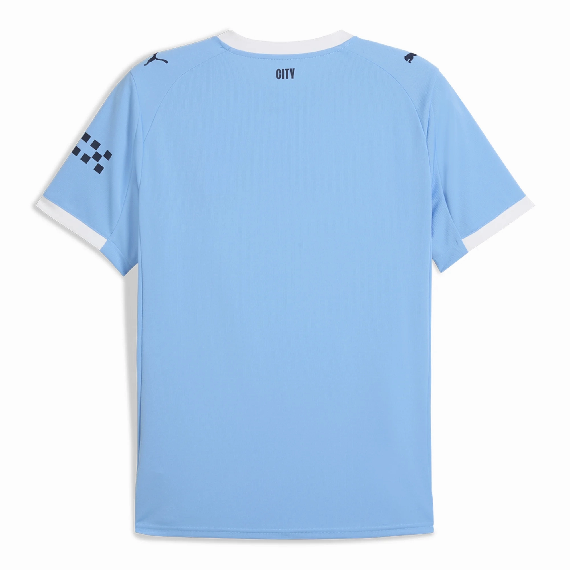 Puma Manchester City Home Jersey 25/26 (Team Light Blue/Puma White) Streamlined Fit