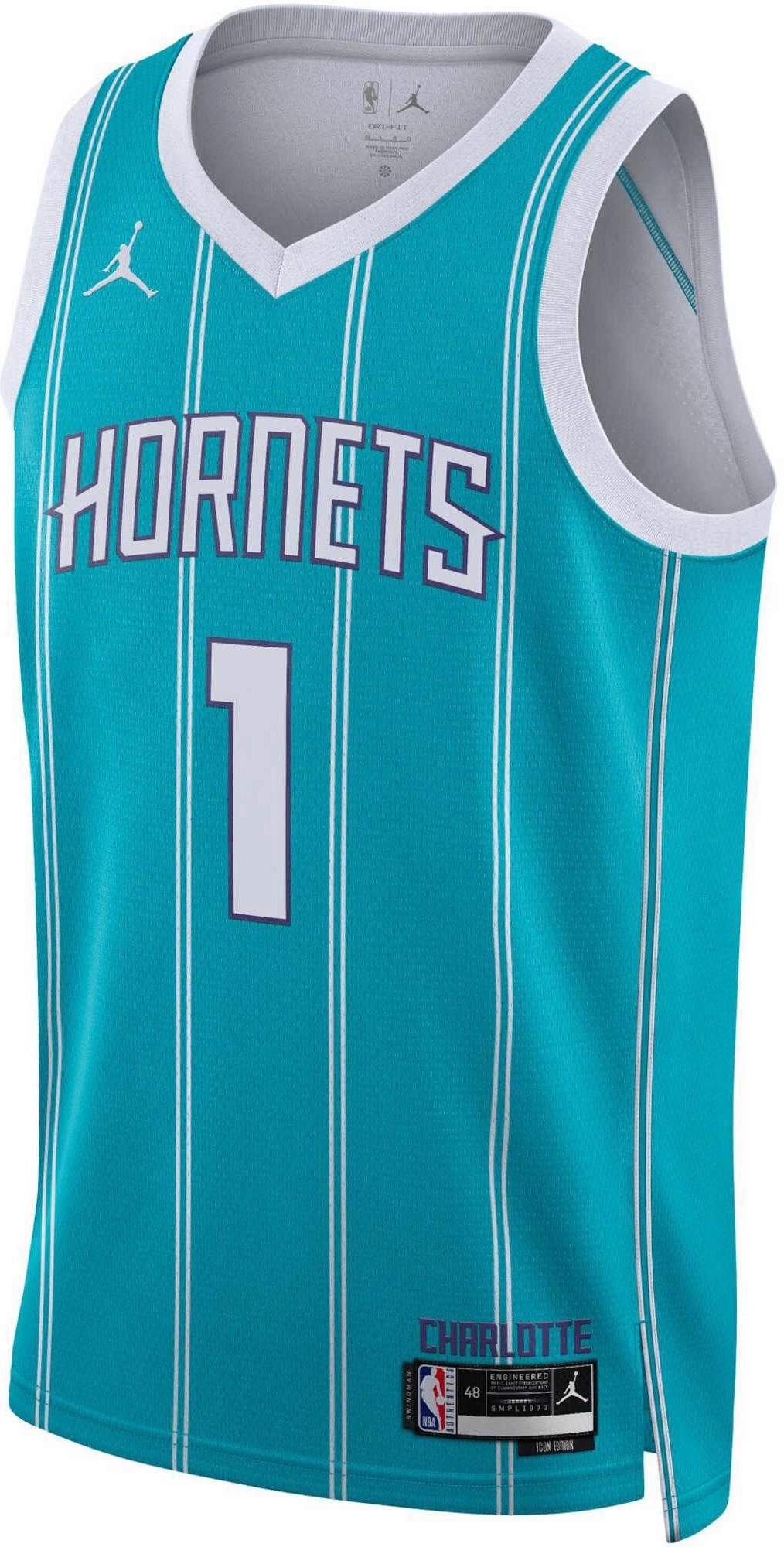Simple Aesthetic Jordan Men's NBA Charlotte Hornets Lamelo Ball 2022/23 Icon Edition Swingman Jersey